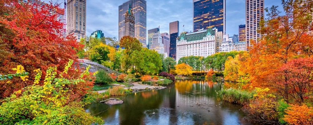 The High Line and Governor's Island Are Finally Reopening in New York