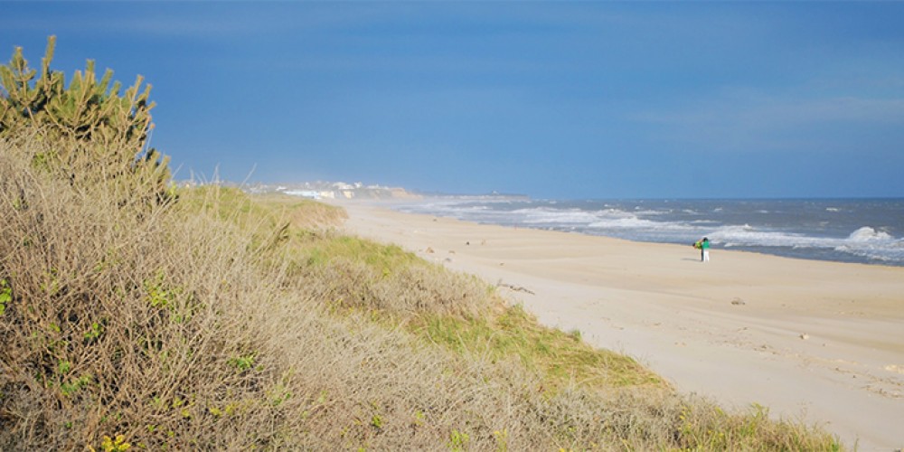 Gita Giornaliera Agli Hamptons Con Shopping In Italiano